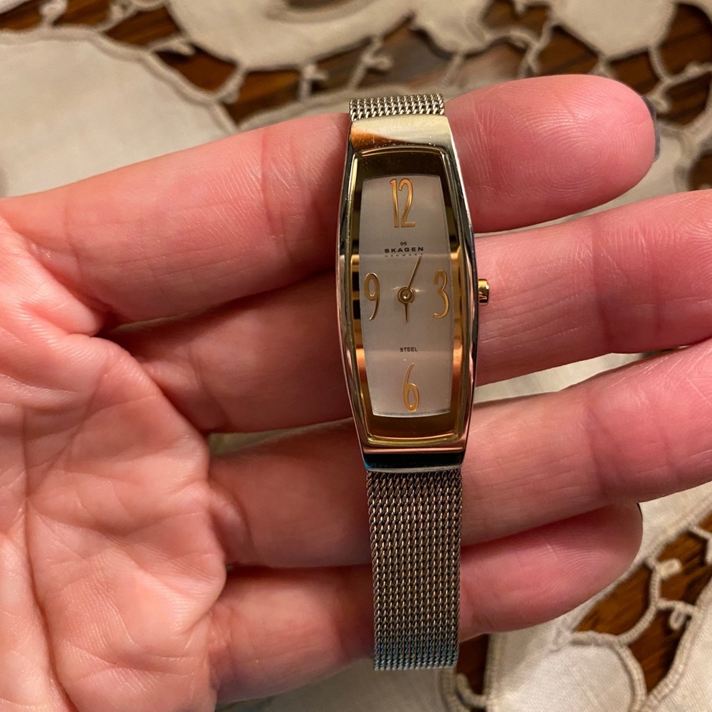 Skagen watch